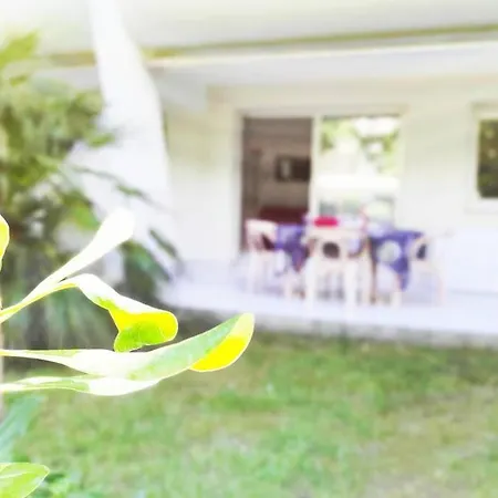 Suberbe T2 Avec Piscine Et Jardin De 150m2 Apartment La Grande-Motte