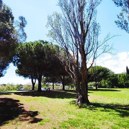Suberbe T2 Climatise Avec Piscine Et Jardin De 150M2 Apartmán La Grande Motte
