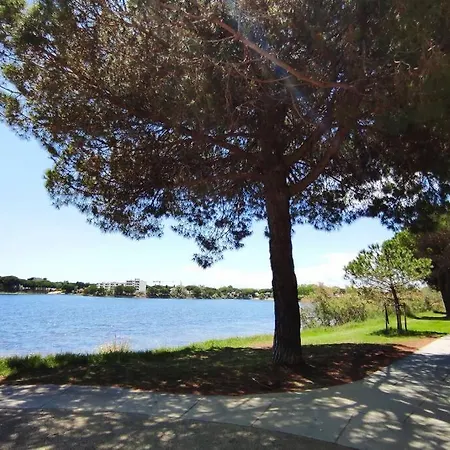 Suberbe T2 Climatise Avec Piscine Et Jardin De 150M2