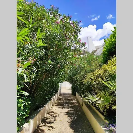 Suberbe T2 Avec Piscine Et Jardin De 150m2