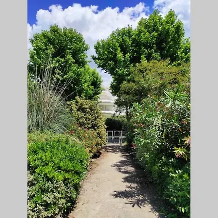 Suberbe T2 Avec Piscine Et Jardin De 150m2 Apartment La Grande-Motte