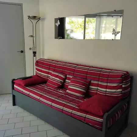 Apartamento Suberbe T2 Climatisé Avec Piscine Et Jardin De 150m2 *